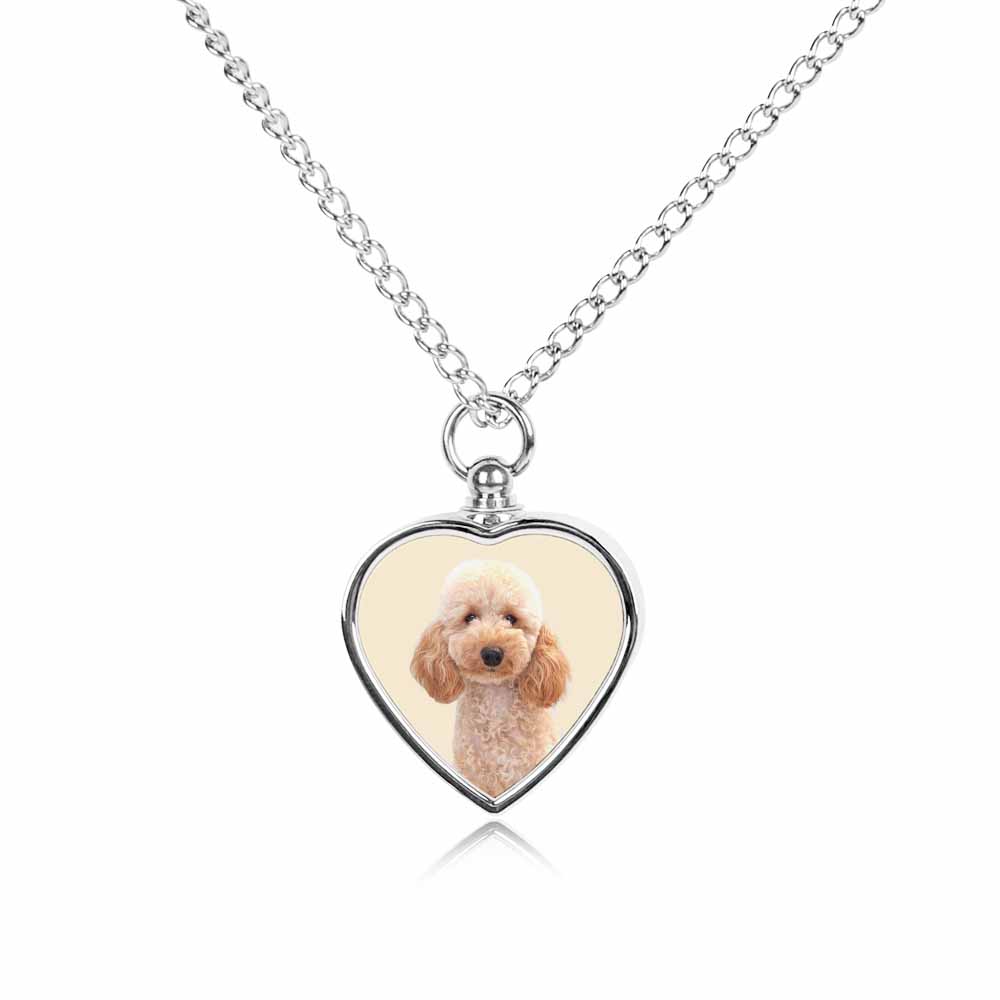 Custom Ashes Necklace Pet Memorial Gift for Dogs