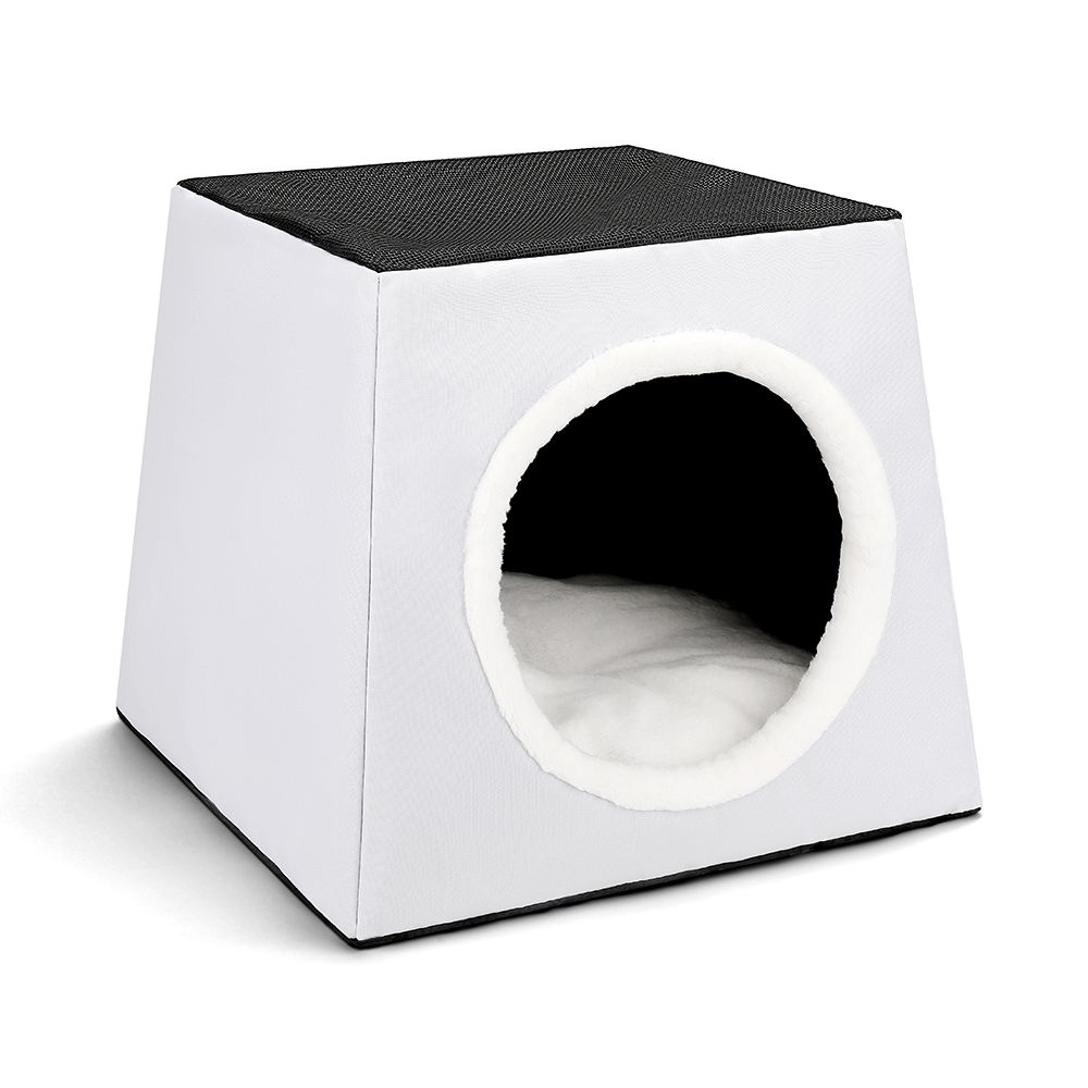 Pet's Clothes & Accessories